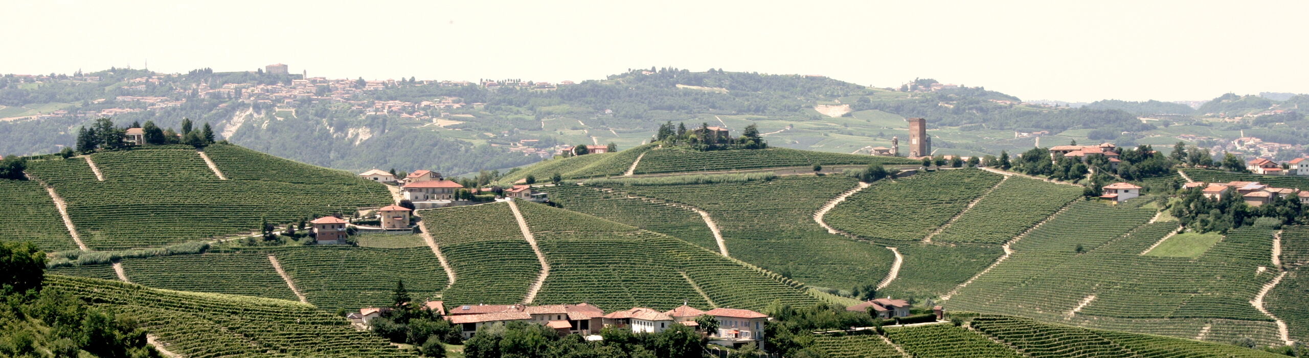 Delizie d'Italia Chi Siamo 4