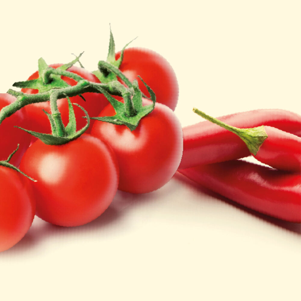 SUGO ALL’ARRABBIATA - Delizie D'Italia