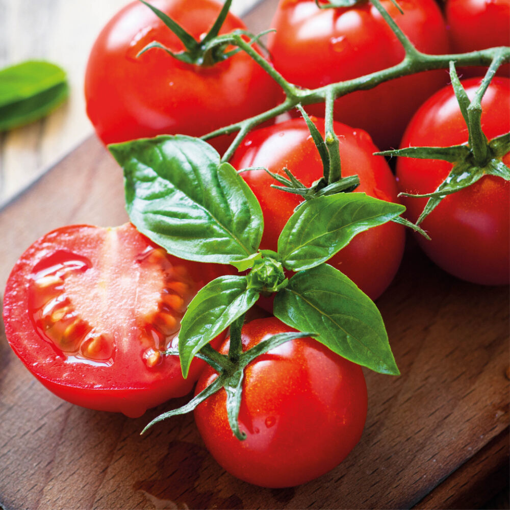 RISOTTO al POMODORO e BASILICO - Delizie D'Italia