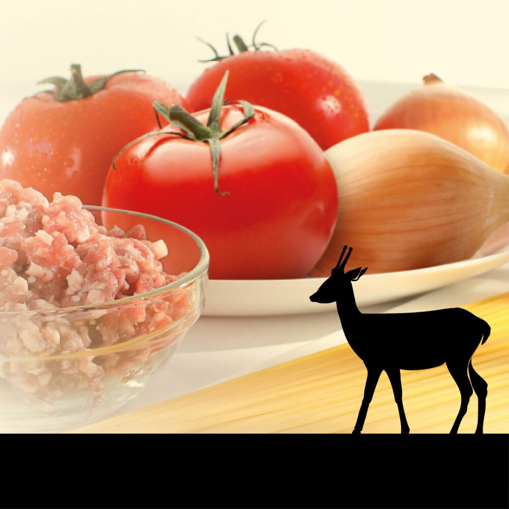 RAGÙ di CARNE di CAPRIOLO - Delizie D'Italia