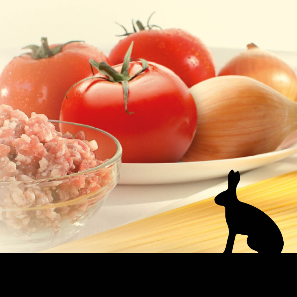 RAGÙ di LEPRE - Delizie D'Italia